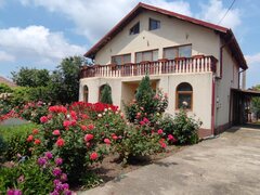 Comuna Curcani, jud. Calarasi, vanzare casa 5 camere, teren 1320 mp