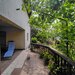 Comuna Curcani, jud. Calarasi, vanzare casa 5 camere, teren 1320 mp.